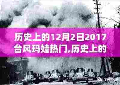 台风玛娃，历史上的独特影响与启示，十二月二日的奇迹时刻