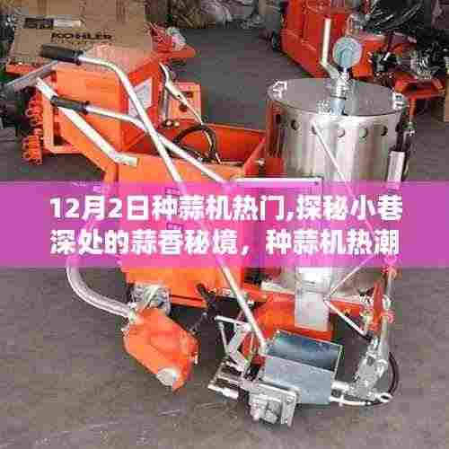 探秘小巷深处的蒜香秘境，种蒜机热潮下的独特小店，揭秘热门种蒜机背后的故事