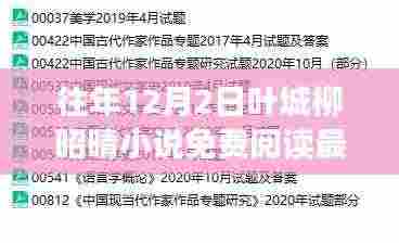 往年12月2日叶城柳昭晴小说免费阅读，最新章节与精彩内容一网打尽