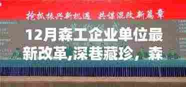 森工企业单位改革下的独特小店探秘，深巷藏珍的新机遇