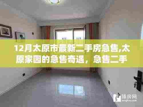 太原家园急售奇遇，揭秘二手房急售背后的温情故事