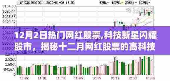 纲挈目张 第5页
