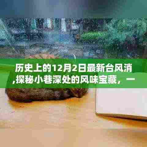 百鸟齐鸣 第6页