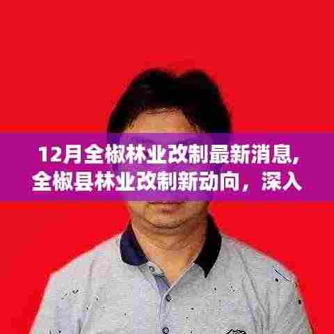 全椒县林业改制最新动态，深度解析与观点阐述