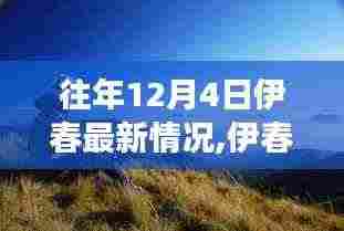 伊春探秘之旅，与自然共舞的心灵宁静之地最新动态（12月4日）
