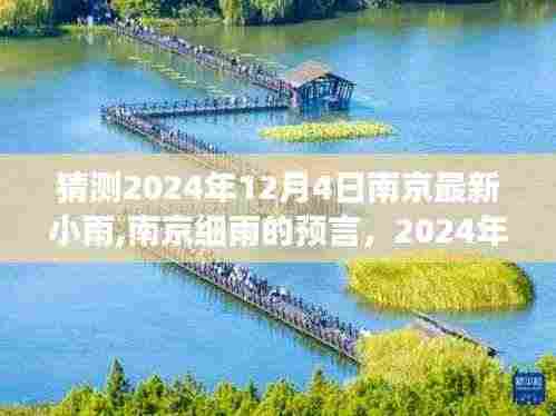 南京细雨的预言，揭秘2024年12月4日小雨背后的故事与影响