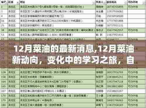 12月菜油市场最新动态，变化中的学习之旅，自信与成就感的源泉