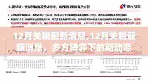 12月关税最新动态，多方博弈下的个人立场分析与新动态揭秘