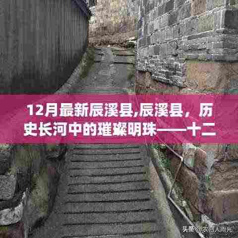 七贵三公 第5页