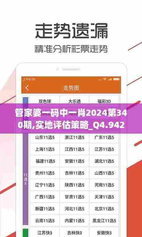 管家婆一码中一肖2024第340期,实地评估策略_Q4.942