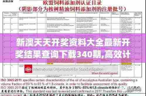 新澳天天开奖资料大全最新开奖结果查询下载340期,高效计划设计实施_3D1.331