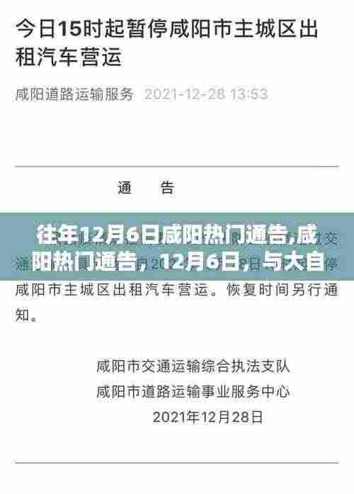 咸阳12月6日热门通告，与自然共舞，探寻内心宁静之旅