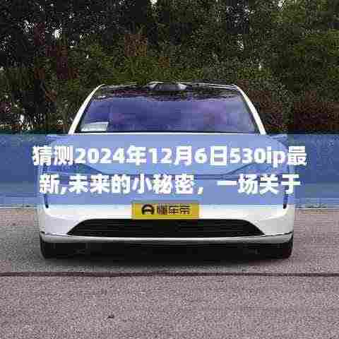 未来小秘密，2024年12月6日530ip最新，友情与爱的温馨时光之旅