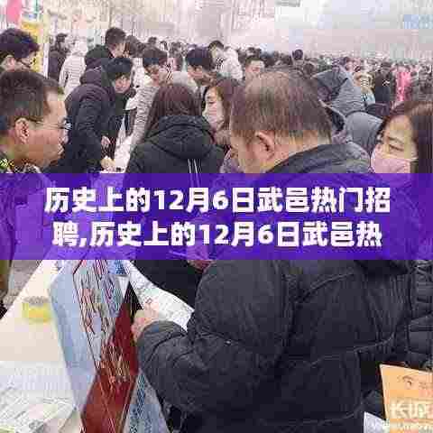 历史上的12月6日武邑热门招聘深度解析与回顾