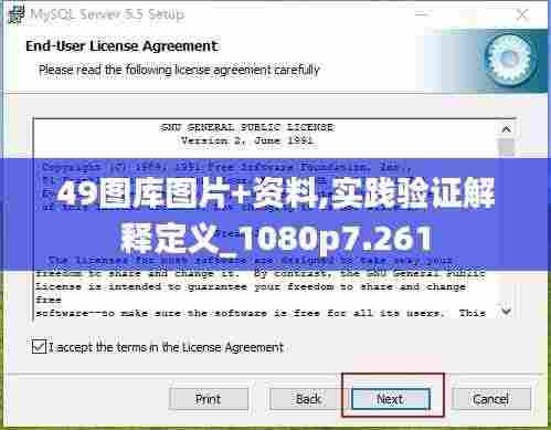 49图库图片+资料,实践验证解释定义_1080p7.261