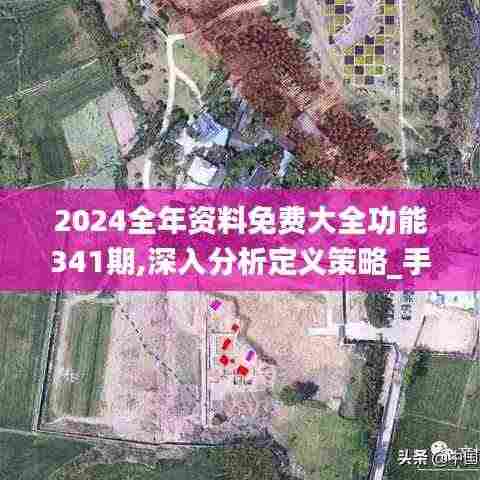 2024全年资料免费大全功能341期,深入分析定义策略_手游版15.551