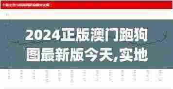 2024正版澳门跑狗图最新版今天,实地应用验证数据_Chromebook4.340