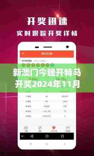 新澳门今晚开特马开奖2024年11月,快捷方案问题解决_1080p6.326