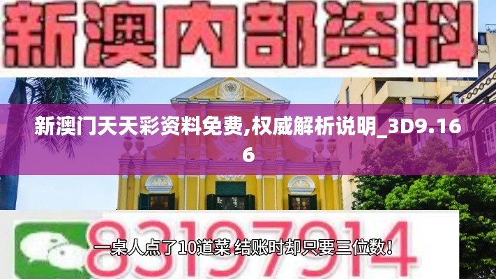 新澳门天天彩资料免费,权威解析说明_3D9.166