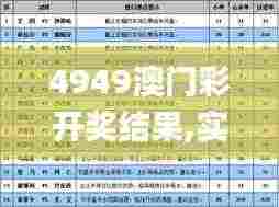 4949澳门彩开奖结果,实地验证策略数据_Prestige7.557
