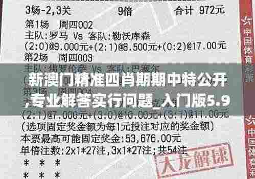 新澳门精准四肖期期中特公开,专业解答实行问题_入门版5.970