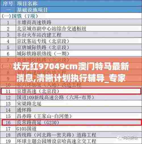 状元红97049cm澳门特马最新消息,清晰计划执行辅导_专家版9.502