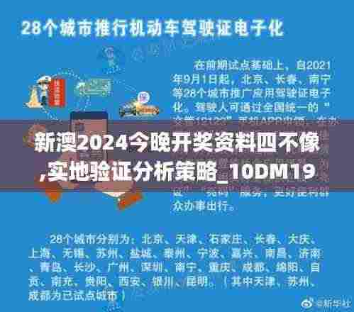 新澳2024今晚开奖资料四不像,实地验证分析策略_10DM19.347