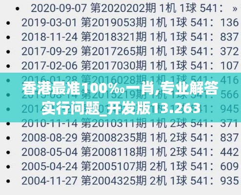 香港最准100‰一肖,专业解答实行问题_开发版13.263