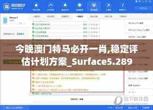 今晚澳门特马必开一肖,稳定评估计划方案_Surface5.289