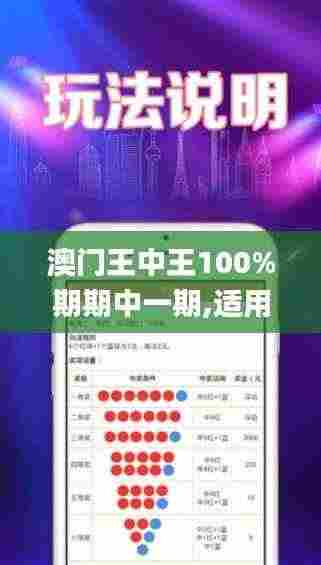 澳门王中王100%期期中一期,适用性策略设计_网页版110.845