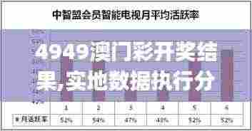 4949澳门彩开奖结果,实地数据执行分析_Superior10.966