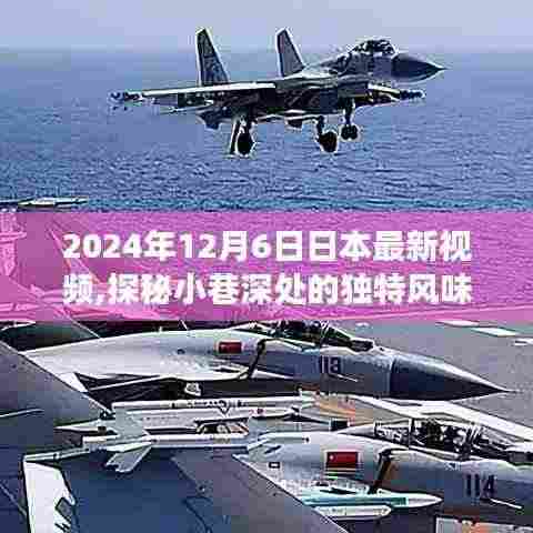 探秘日本小巷深处的独特风味，揭秘一家特色小店的隐藏故事视频（2024年最新）