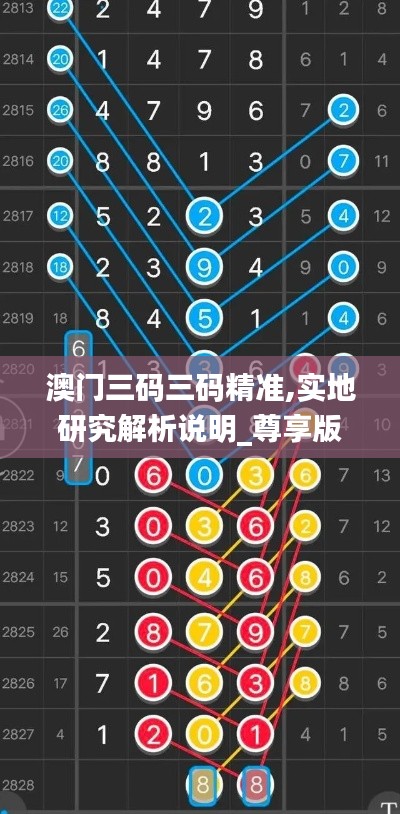 一花独放 第5页