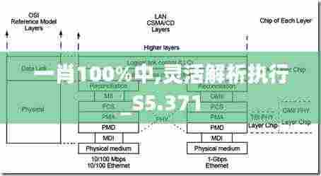 一肖100%中,灵活解析执行_S5.371