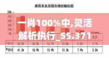 一肖100%中,灵活解析执行_S5.371