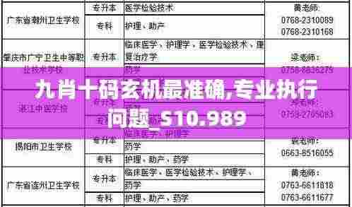 九肖十码玄机最准确,专业执行问题_S10.989