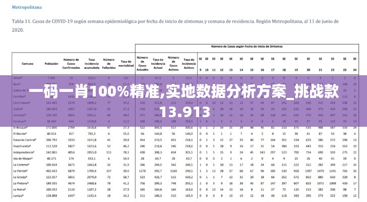 一码一肖100%精准,实地数据分析方案_挑战款13.913