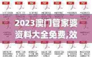 2023澳门管家婆资料大全免费,效率解答解释落实_HD3.755