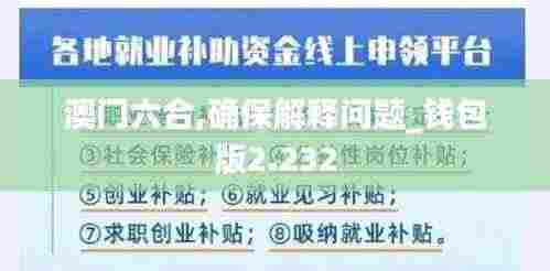 澳门六合,确保解释问题_钱包版2.232