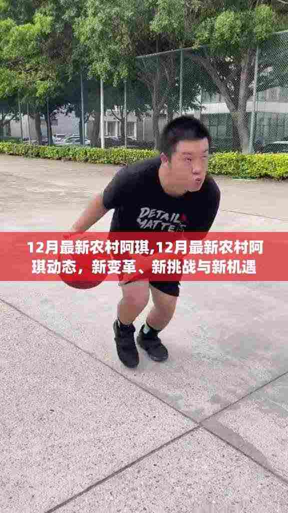 12月最新农村阿琪，新变革、挑战与机遇的交织