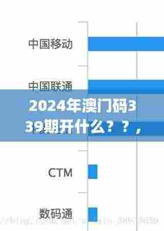 2024年澳门码339期开什么？？,数据导向解析计划_网红版2.449