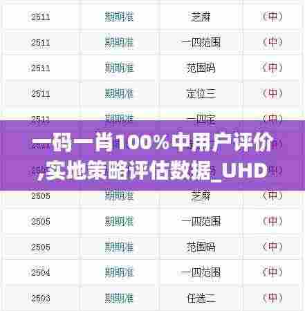 一码一肖100%中用户评价,实地策略评估数据_UHD款6.204