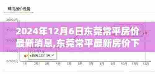 东莞常平房价最新消息，友情与家的奇妙旅程的温馨故事（2024年）