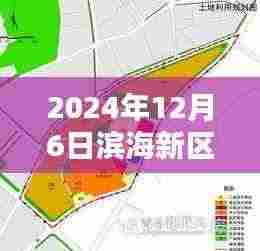 滨海新区大港规划新篇章，科技引领未来，智能大港展望