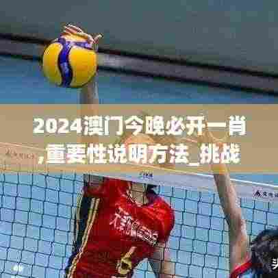 2024澳门今晚必开一肖,重要性说明方法_挑战款4.313