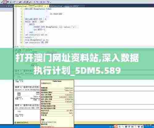 打开澳门网址资料站,深入数据执行计划_5DM5.589