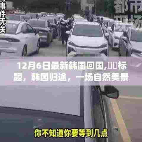 粗制滥造 第6页