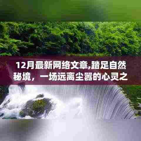 踏足自然秘境，一场远离尘嚣的十二月心灵之旅
