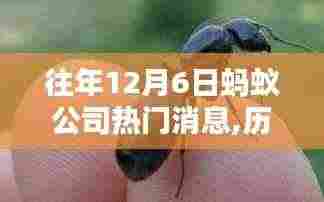 历年12月6日科技巨浪掀起，蚂蚁公司热门消息大盘点