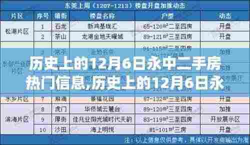 历史上的12月6日永中二手房市场动态，热点信息与购房技能详解